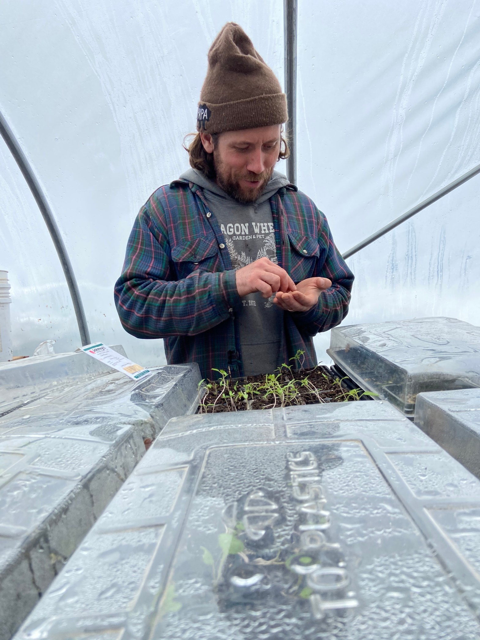 Stark Raving Mad Newsletter April 2024 Edition