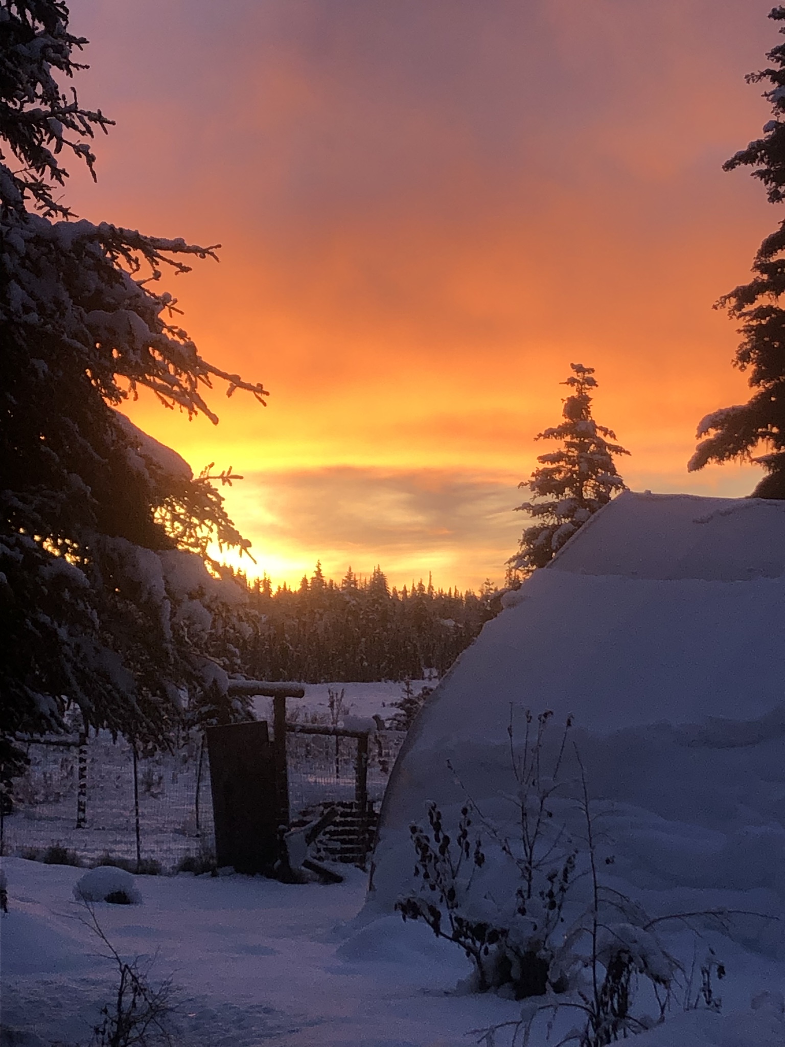 Stark Raving Mad: February 2025