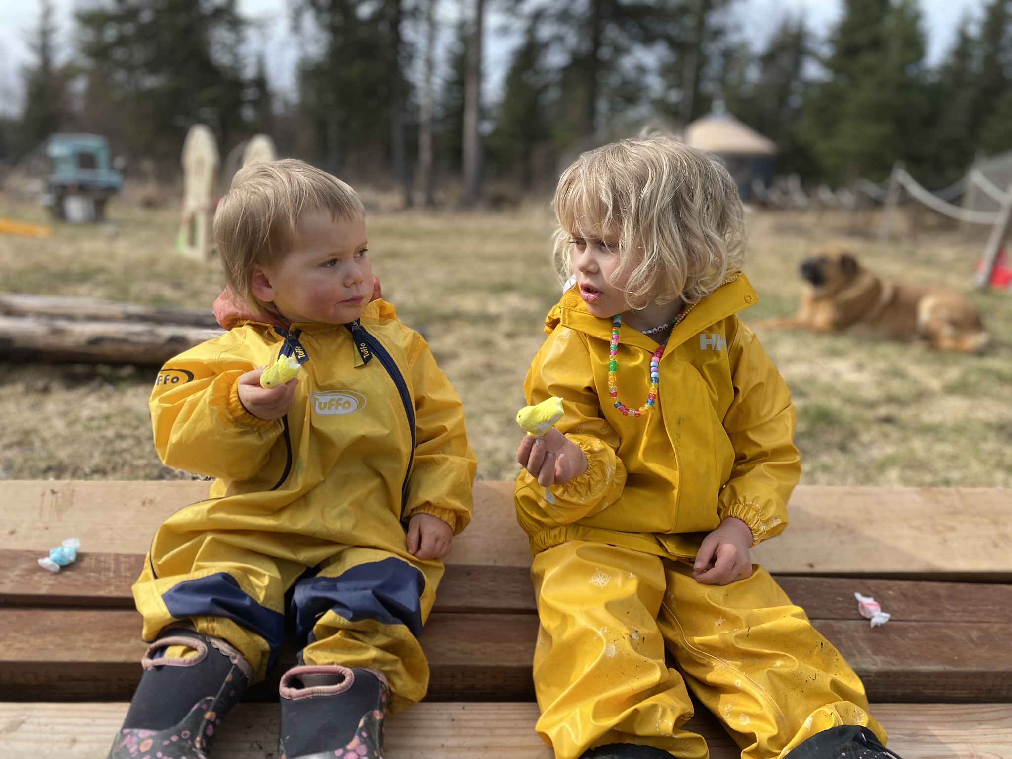 Sober from Social Media: Week One