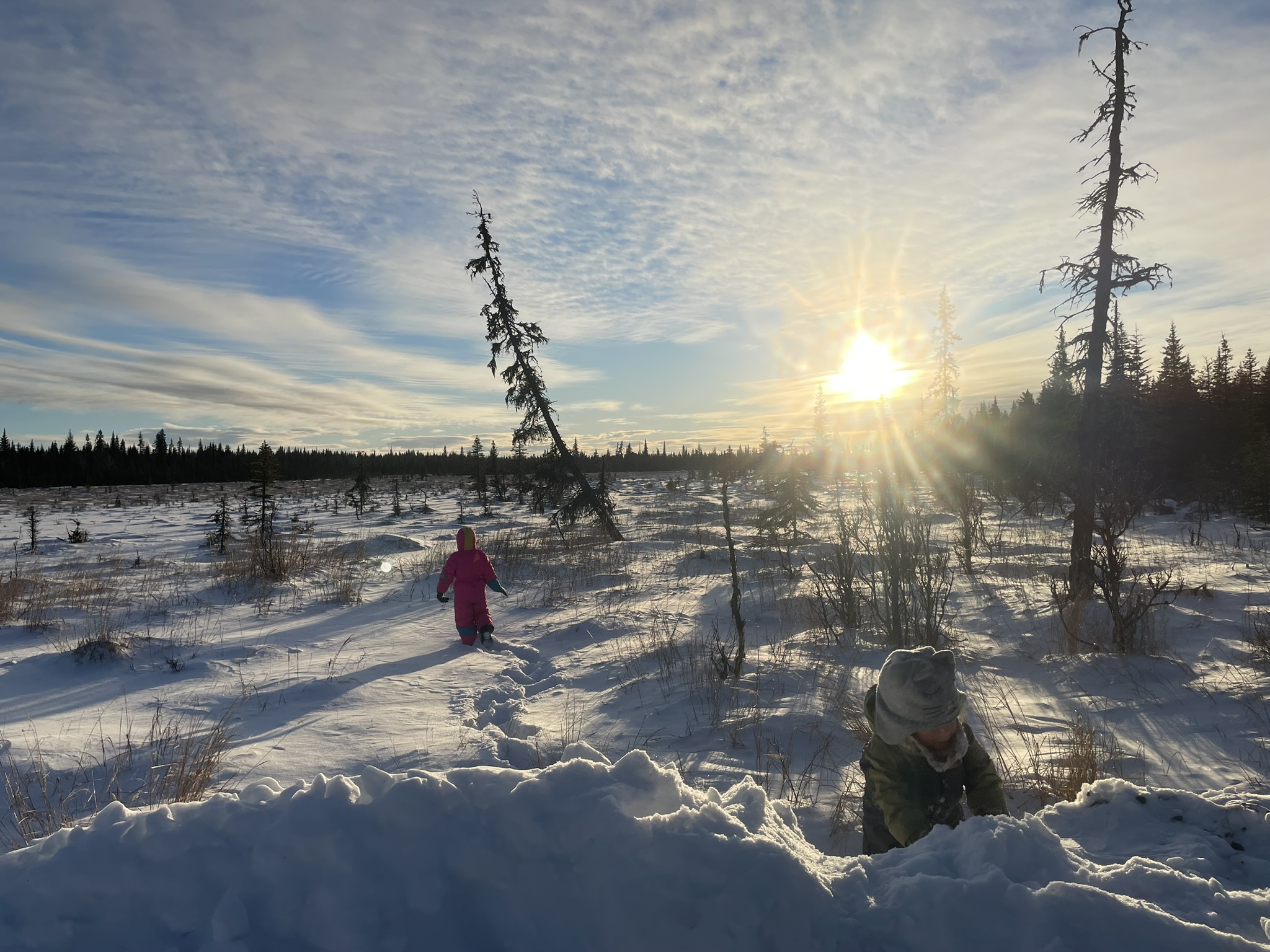 Hardy Neighbors and Frozen Showers