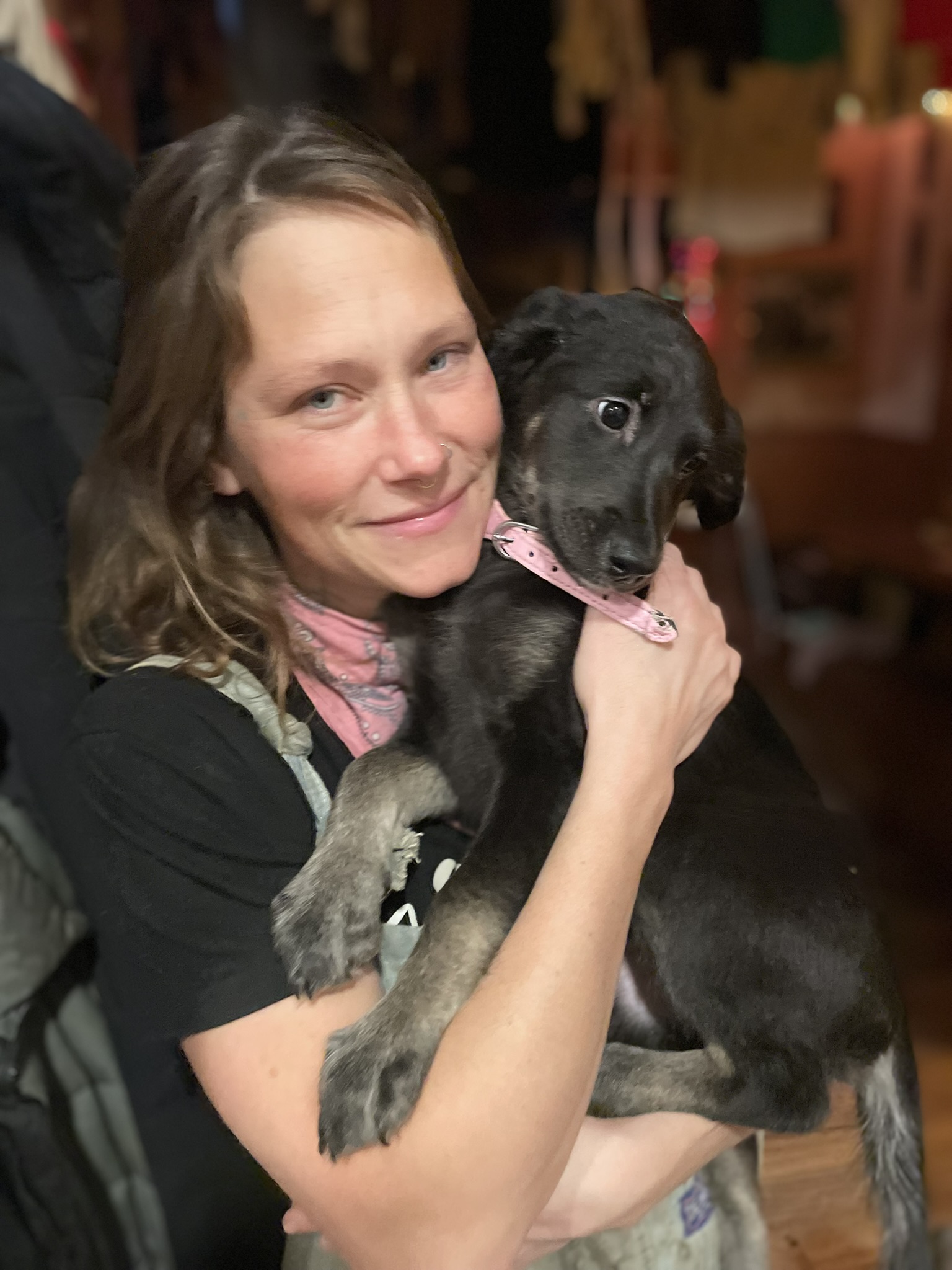 Cultivating Nonviolence: The First Limb of Yoga