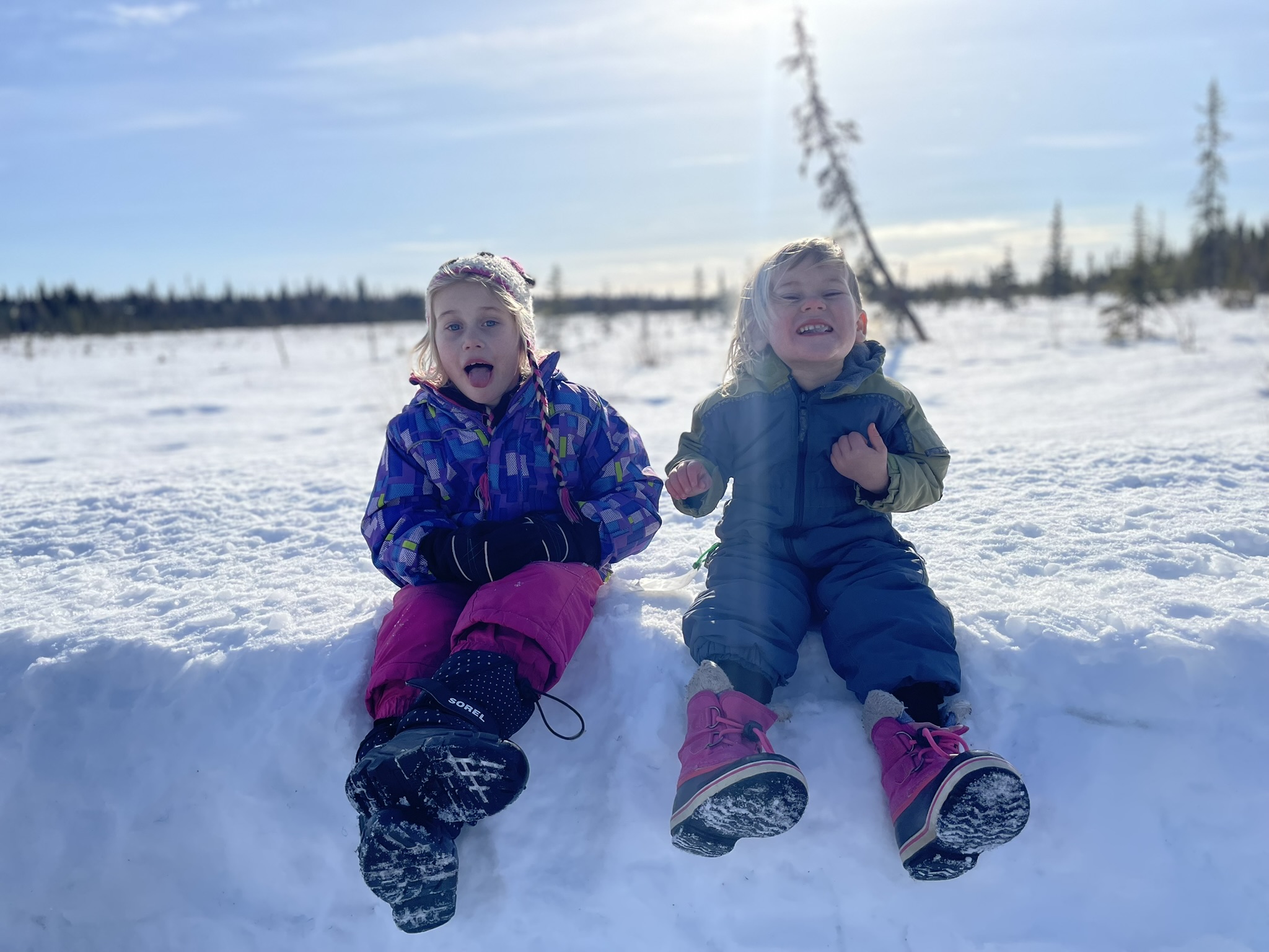 Stark Raving Mad, February 2026